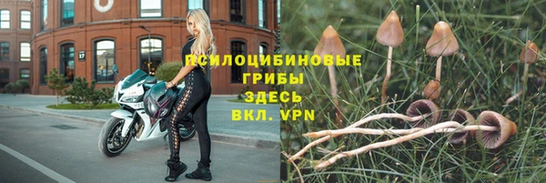 мет Аркадак